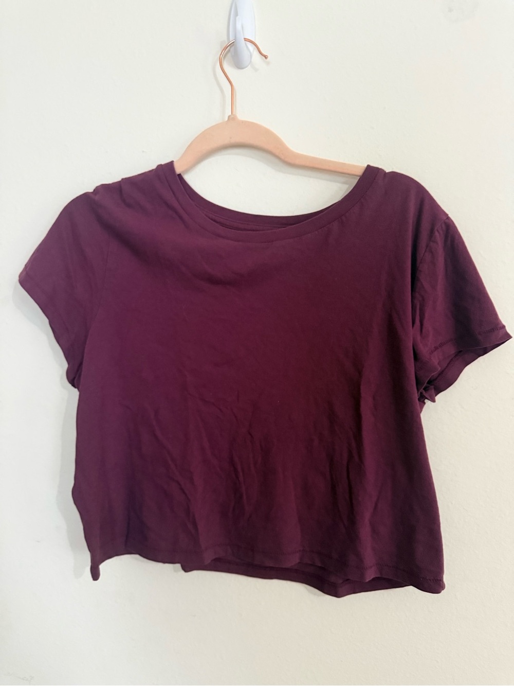 Universal Thread Plum Short Sleeve Crop Top